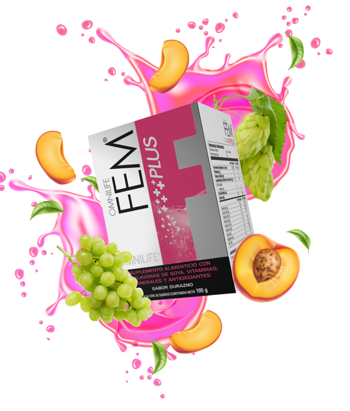 FEM PLUS